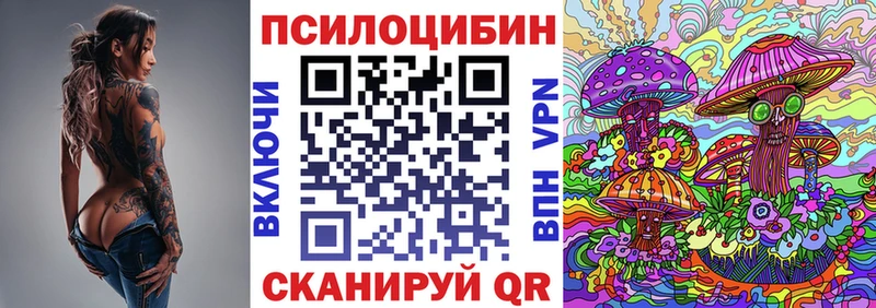 Галлюциногенные грибы Cubensis  закладки  Вилючинск 